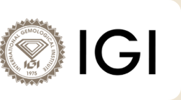 IGI Logo